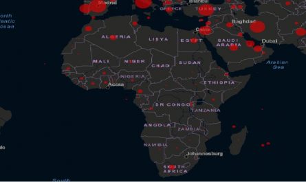 Coronavirus Cases in Africa