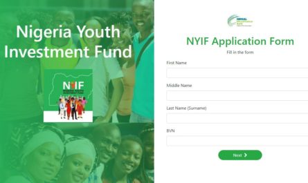 Nigeria Youth Investment Fund NYIF