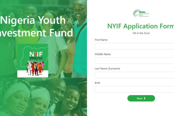 Application For The N75 billion Youth Investment Fund – FG