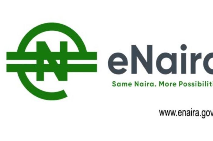 Access to CBN eNaira, download and use of CBN eNaira wallet