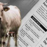 Border Livestock Inspection