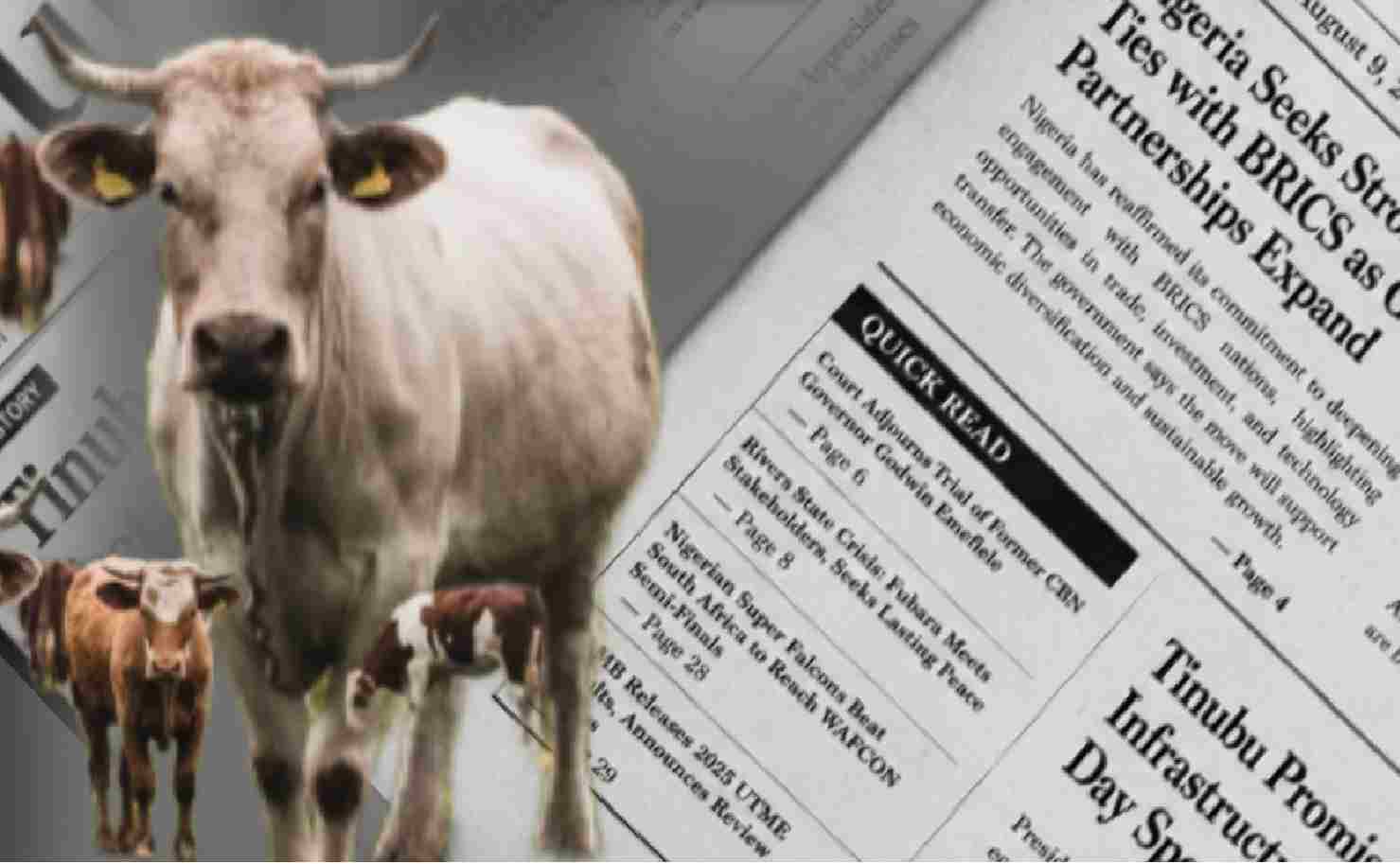 Digital Cattle in Nigeria