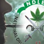 NDLEA: Surviving Narcotics in Nigeria