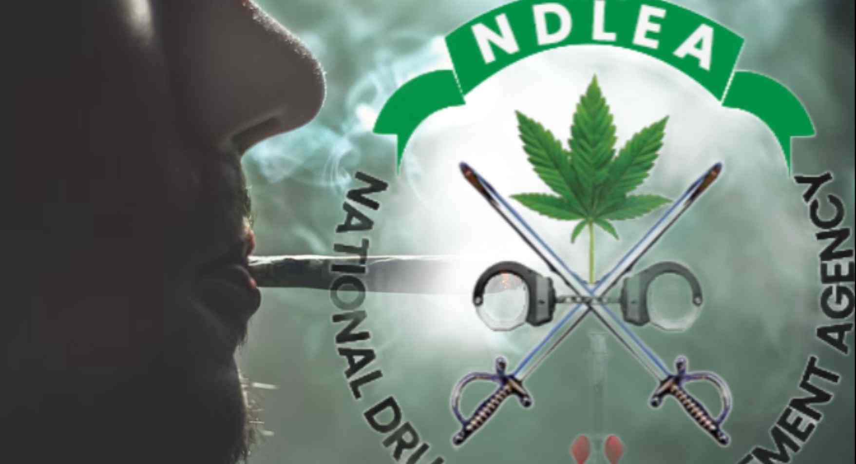 NDLEA: Surviving Narcotics in Nigeria